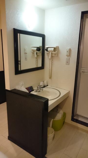 RING MY BELL（リングマイベル）(相模原市/ラブホテル)の写真『302号室の洗面台』by angler
