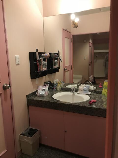 ラピア(新宿区/ラブホテル)の写真『407号室の洗面台』by 少佐