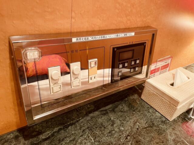 ホテルSAVOY(台東区/ラブホテル)の写真『606号室のベッド脇にあるコントローラー』by miffy.GTI