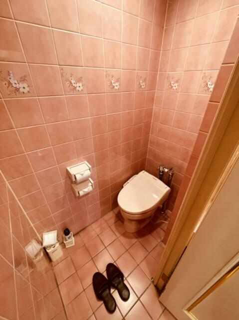 ホテルSAVOY(台東区/ラブホテル)の写真『606号室のトイレ』by miffy.GTI