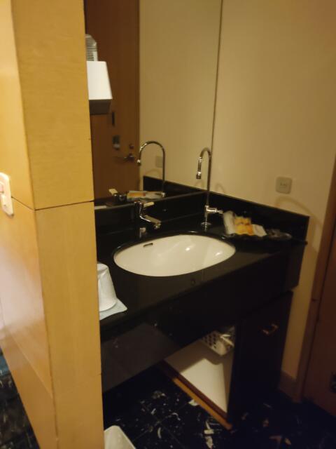 HOTEL CLIO（クリオ）東口店(豊島区/ラブホテル)の写真『501号室 洗面所』by ところてんえもん