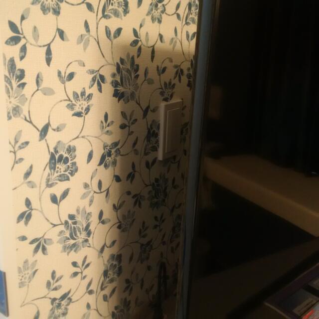ホテルシティ(立川市/ラブホテル)の写真『501号室　脱衣所のスイッチ　テレビのうらにあります』by 市