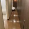ヒルズホテル五反田(品川区/ラブホテル)の写真『605号室(玄関から部屋への廊下)』by こねほ