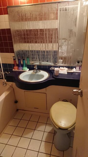 ニューヨーク(武蔵野市/ラブホテル)の写真『301号室、浴室のトイレと洗面所』by ビデ三郎