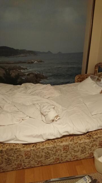 ニューヨーク(武蔵野市/ラブホテル)の写真『301号室、ベッド(使用後の横から(^^;』by ビデ三郎