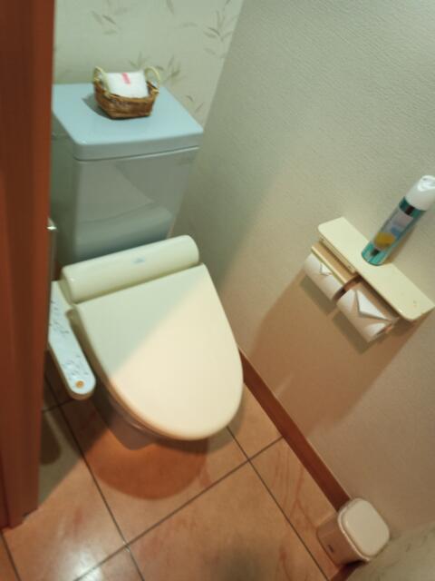 Festa （フェスタ）(成田市/ラブホテル)の写真『302号室　トイレ』by かーたー