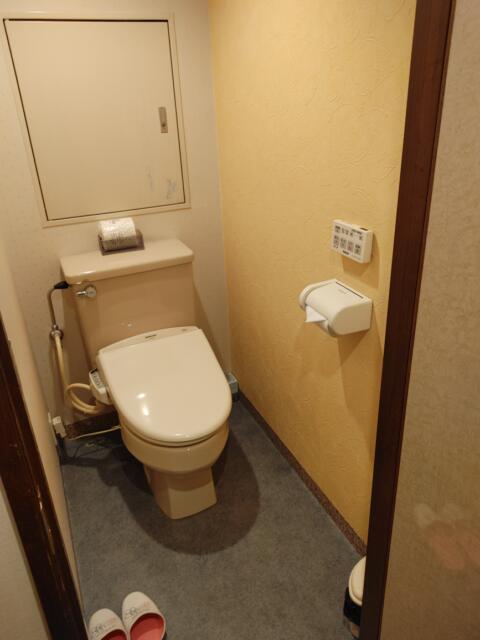SUN PALACE(台東区/ラブホテル)の写真『102号室トイレ』by カモメの民兵さん
