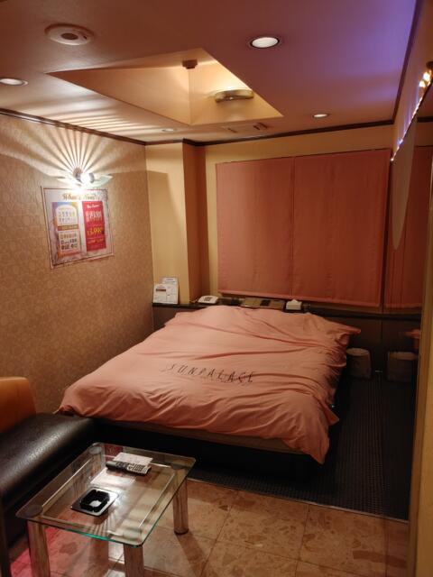SUN PALACE(台東区/ラブホテル)の写真『102号室室内』by カモメの民兵さん