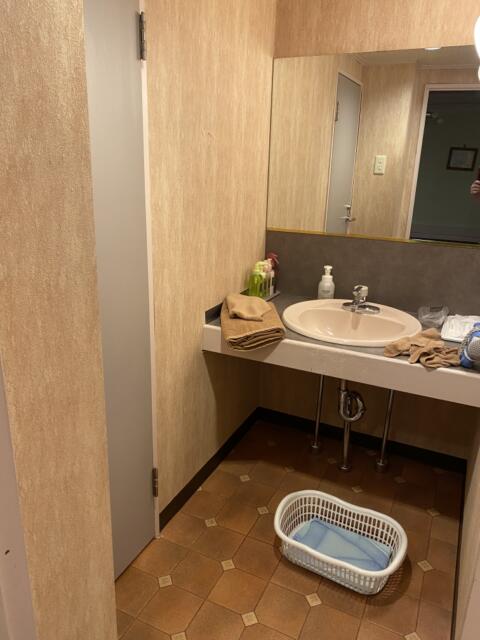 ホテル ムーンパティオ(豊島区/ラブホテル)の写真『1150号室　洗面台。』by とどろきさん