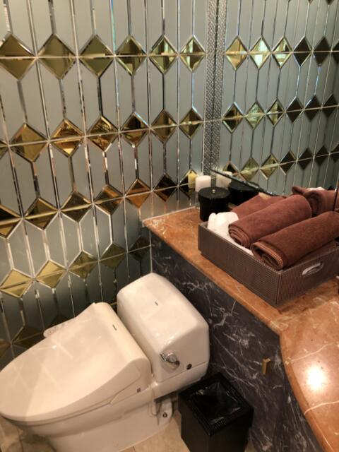 HOTEL PARIS(パリス)(渋谷区/ラブホテル)の写真『305号室、トイレ』by かとう茨城47