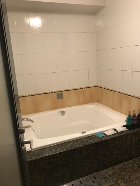 新宿ジャルディーノ(新宿区/ラブホテル)の写真『301号室の浴室①』by 少佐