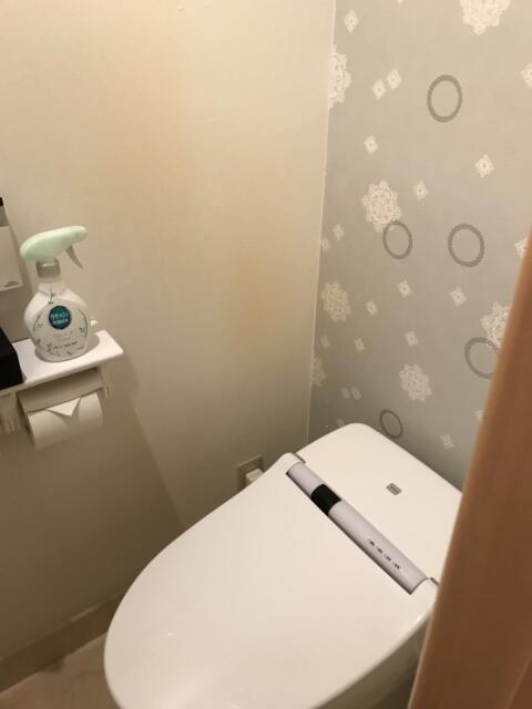 新宿ジャルディーノ(新宿区/ラブホテル)の写真『301号室のトイレ②』by 少佐