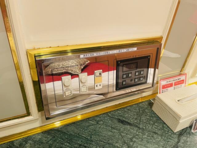 ホテルSAVOY(台東区/ラブホテル)の写真『506号室のベッドサイドにあるコントローラー』by miffy.GTI