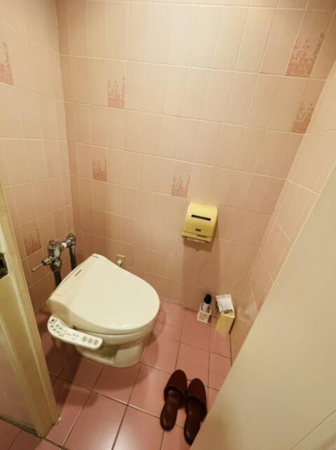 ホテルSAVOY(台東区/ラブホテル)の写真『506号室のトイレ』by miffy.GTI