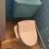 ペリカン(渋谷区/ラブホテル)の写真『503号室のトイレ タイルとトイレ本体も同じ色調でオシャレでした。』by angler
