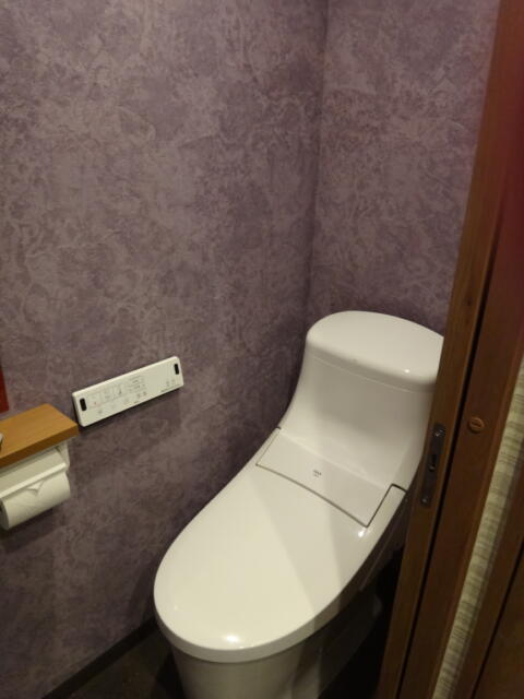 HOTEL ENJU 別邸万華(台東区/ラブホテル)の写真『203号室 トイレ』by Plumper