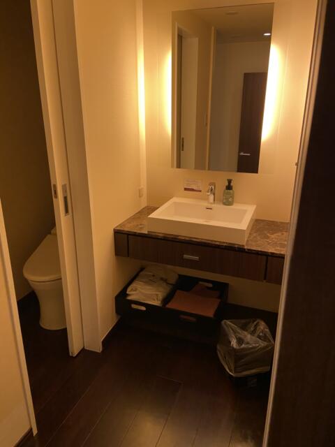 BIX（ビックス）(品川区/ラブホテル)の写真『506号室洗面スペース』by さとし03