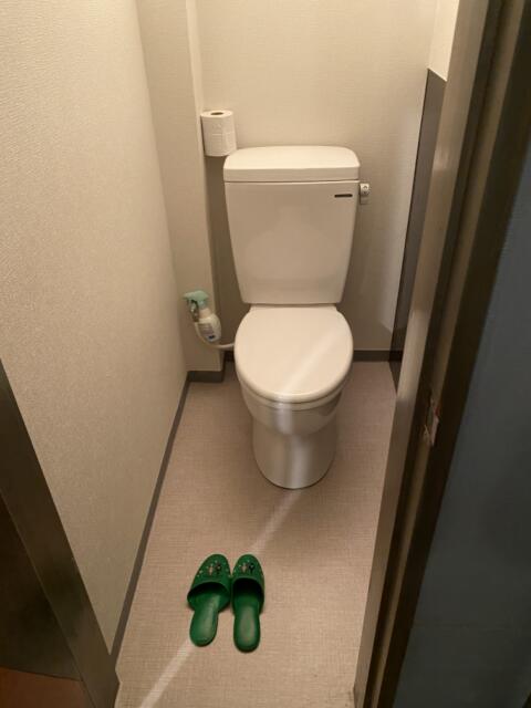 サザンクロス(新宿区/ラブホテル)の写真『402号室(トイレ)』by こねほ
