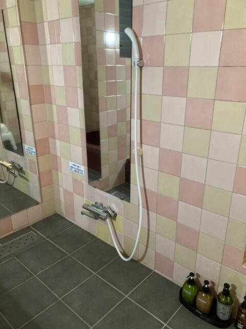 ホテル 3ねん2くみ(加賀市/ラブホテル)の写真『205号室　シャワー』by まさおJリーグカレーよ