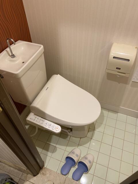 HOTEL R&N（レストアンドネスト）(蕨市/ラブホテル)の写真『206号室(トイレ)』by こねほ