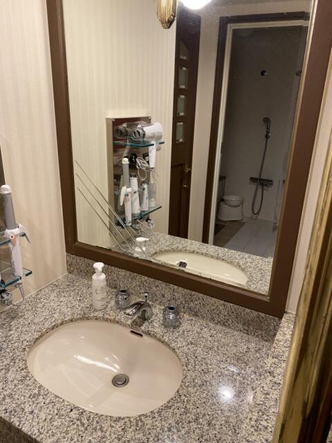 HOTEL R&N（レストアンドネスト）(蕨市/ラブホテル)の写真『206号室(洗面台)』by こねほ