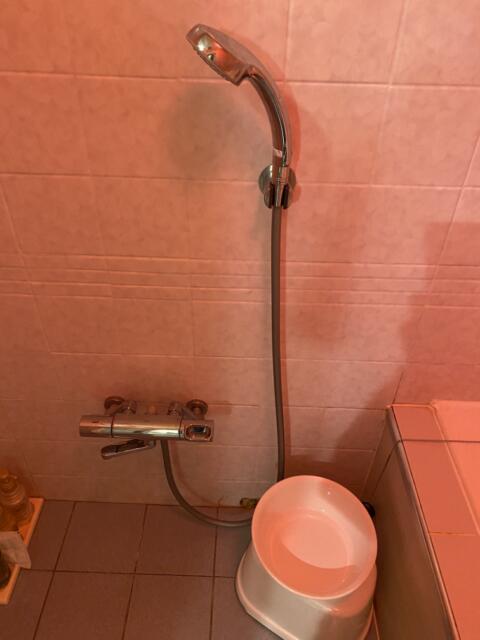 HOTEL R&N（レストアンドネスト）(蕨市/ラブホテル)の写真『406号室(シャワーユニット)』by こねほ