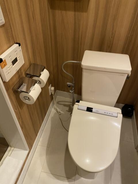 HOTEL COMFY（コンフィ）(川口市/ラブホテル)の写真『301号室(トイレ)』by こねほ