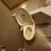 HOTEL 風々(ふふ)(新宿区/ラブホテル)の写真『208号室のトイレ』by angler