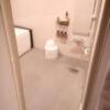 555MOTEL GOTEMBA(御殿場市/ラブホテル)の写真『浴室は広いです。(21号室利用21,5)』by キジ