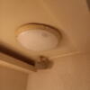 サンマリン(新宿区/ラブホテル)の写真『803号室のベッド上の蛍光灯　これがつかなかった。(*_*)』by angler