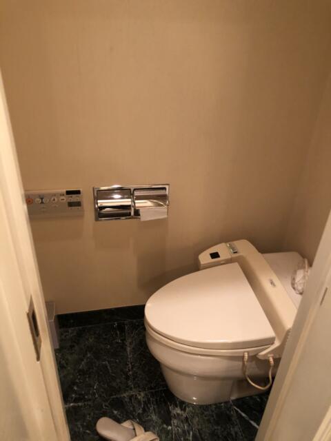 HOTEL TIFFARD（ティファード）(新宿区/ラブホテル)の写真『513号室、トイレ』by かとう茨城47