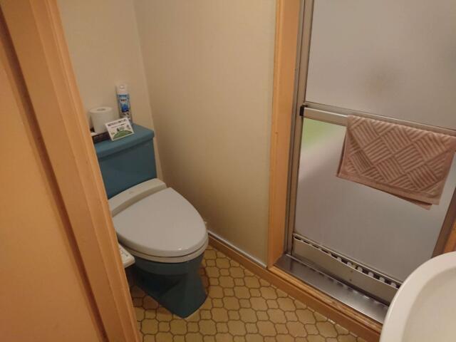 ホテルビバリーヒルズ(千葉市中央区/ラブホテル)の写真『307号室 トイレ廻り』by K61