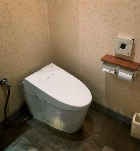 HOTEL The AMERICAN(アメリカン)(江戸川区/ラブホテル)の写真『203号室 トイレ』by 屋敷ミラン