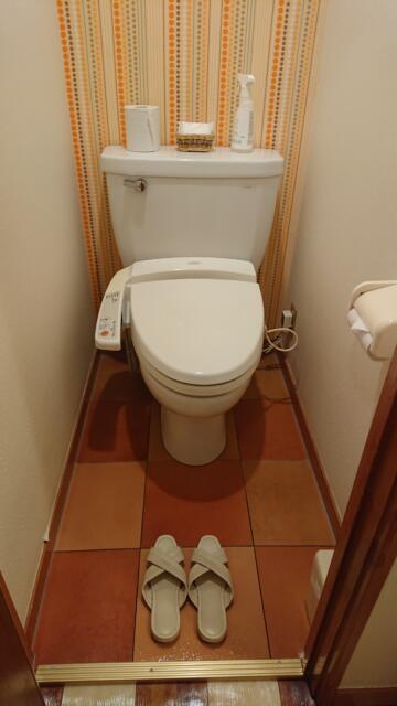 ドンキーズジャングル(千葉市中央区/ラブホテル)の写真『505号室トイレ』by よしお440