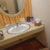 ドンキーズジャングル(千葉市中央区/ラブホテル)の写真『505号室洗面所』by よしお440