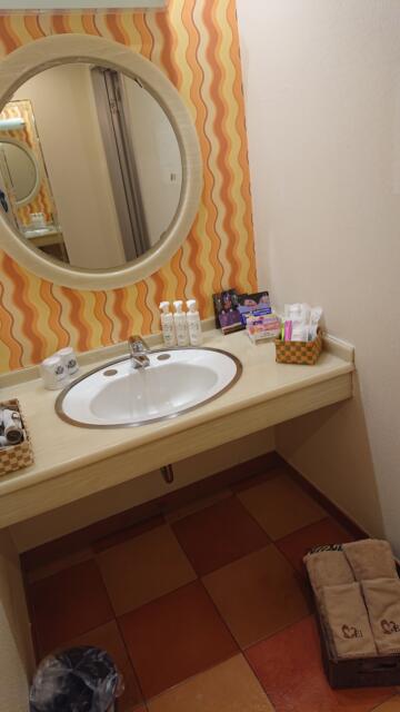 ドンキーズジャングル(千葉市中央区/ラブホテル)の写真『505号室洗面所』by よしお440