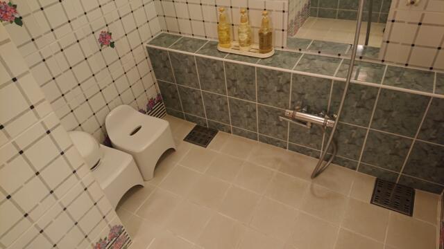 ドンキーズジャングル(千葉市中央区/ラブホテル)の写真『505号室浴室シャワーエリア』by よしお440