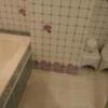 ドンキーズジャングル(千葉市中央区/ラブホテル)の写真『505号室浴室』by よしお440