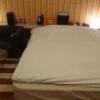 ドンキーズジャングル(千葉市中央区/ラブホテル)の写真『505号室ベッド』by よしお440