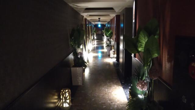 HOTEL GRASSINO URBAN RESORT(立川市/ラブホテル)の写真『211号室　へ続く廊下』by どらねこどらどら