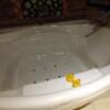 HOTEL GRASSINO URBAN RESORT(立川市/ラブホテル)の写真『211号室　浴室浴槽、ブロアバス、レインボーバス装備』by どらねこどらどら