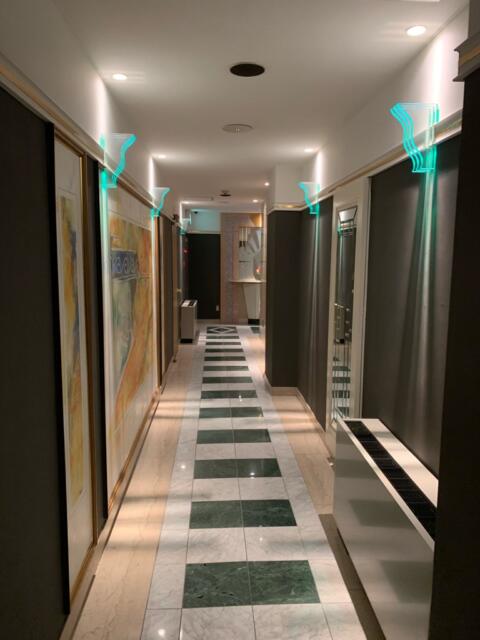 ホテル パル新宿店(新宿区/ラブホテル)の写真『3階　廊下の様子』by hello_sts