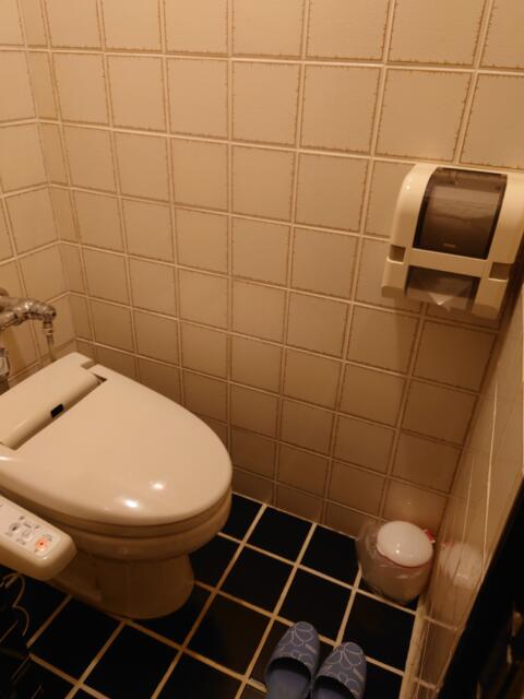 ホテルエーゲ海(荒川区/ラブホテル)の写真『３０３号室トイレ』by そこそこの人生