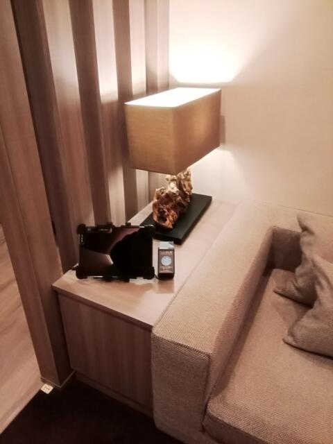 HOTEL現代楽園　大和店(大和市/ラブホテル)の写真『43号室、置物がお洒落で、ﾀﾌﾞﾚｯﾄがあります。(21,6)』by キジ