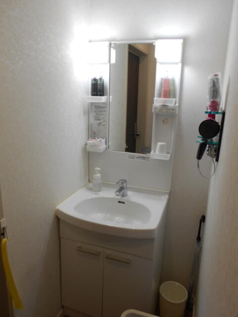 ホテルシティ(立川市/ラブホテル)の写真『206号室、洗面所は入り口脇にありました。』by もんが～
