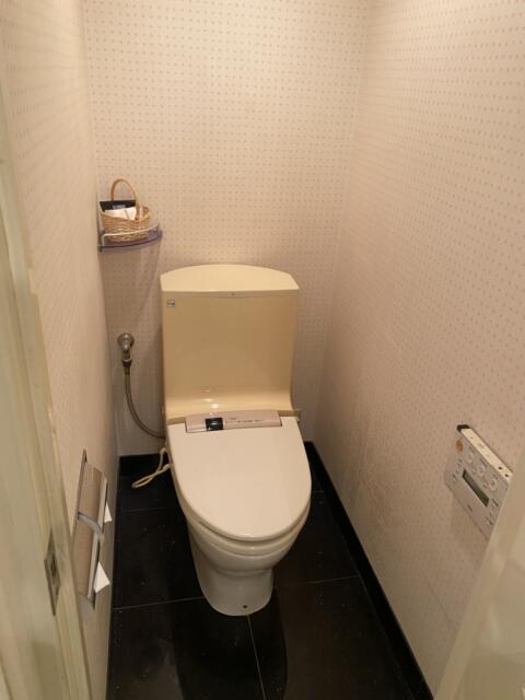 HOTEL FIESTA(フィエスタ)甲府(昭和町/ラブホテル)の写真『406号室　お手洗い』by ペンシル