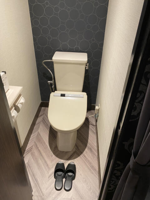 HOTEL COMFY（コンフィ）(川口市/ラブホテル)の写真『505号室(トイレ)』by こねほ