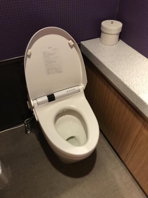 ラピア(新宿区/ラブホテル)の写真『右側のトイレの便器』by 少佐