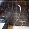 ペリカン(渋谷区/ラブホテル)の写真『401号室 浴室 シャワー。湯量は豊富ですぐにたまりました。』by angler
