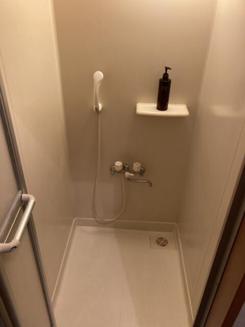 レンタルルーム サンガ(横浜市中区/ラブホテル)の写真『303号室、シャワー室。ボディソープが備え付けでありました。』by 天竺いとう